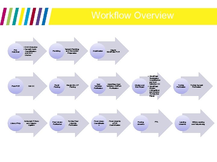 Workflow Overview Pre. Analytical • DNA Extraction • Sample Qubit Quantification and DNA Dilution