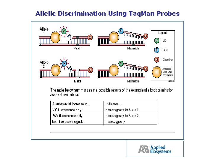 Allelic Discrimination Using Taq. Man Probes 