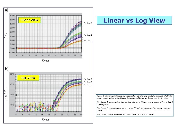 linear view log view Linear vs Log View 