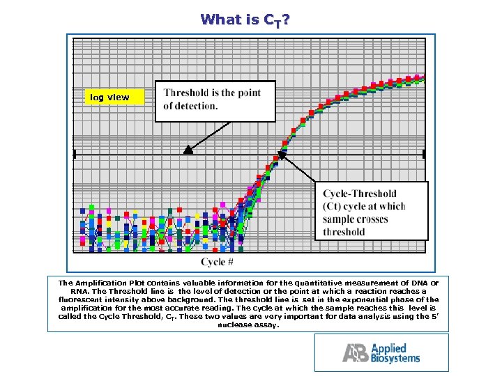 What is CT? log view The Amplification Plot contains valuable information for the quantitative