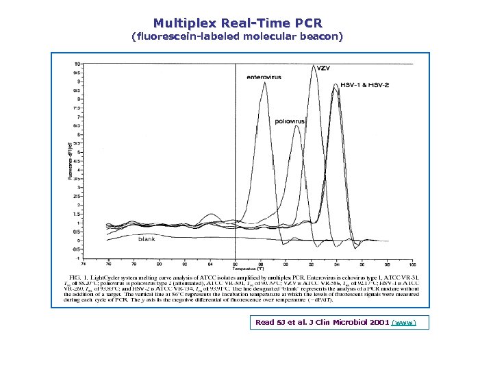 Multiplex Real Time PCR (fluorescein labeled molecular beacon) Read SJ et al. J Clin