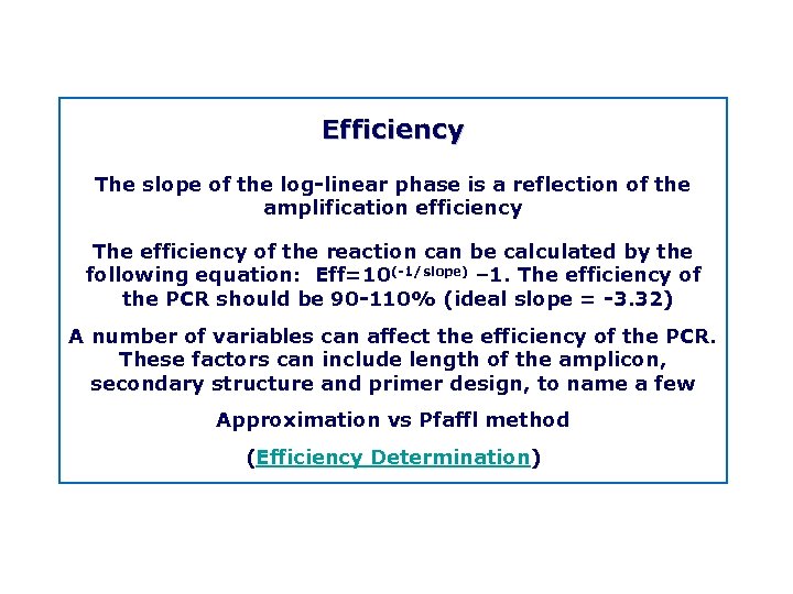 Efficiency The slope of the log linear phase is a reflection of the amplification