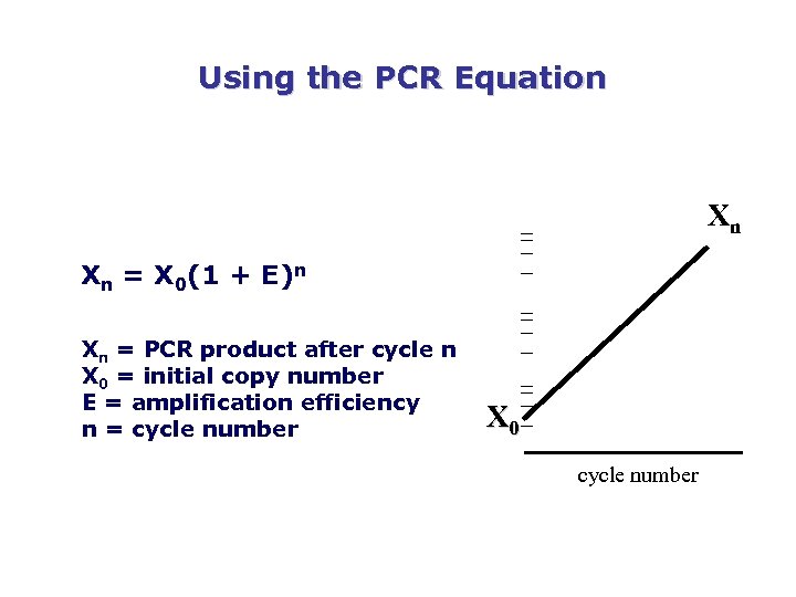 Using the PCR Equation Xn Xn = X 0(1 + E)n Xn = PCR