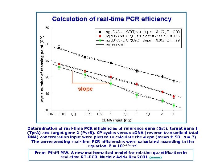 Determination of real time PCR efficiencies of reference gene (Gst), target gene 1 (Tyr.