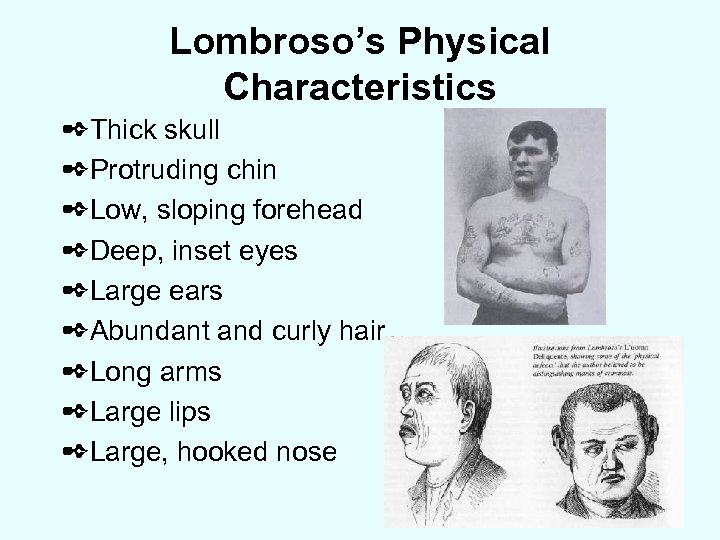 Lombroso’s Physical Characteristics ✒Thick skull ✒Protruding chin ✒Low, sloping forehead ✒Deep, inset eyes ✒Large