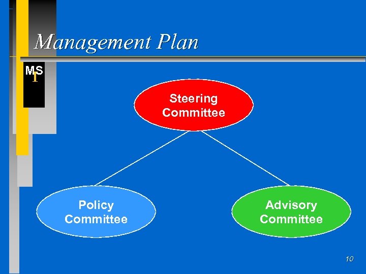 Management Plan MS I Steering Committee Policy Committee Advisory Committee 10 