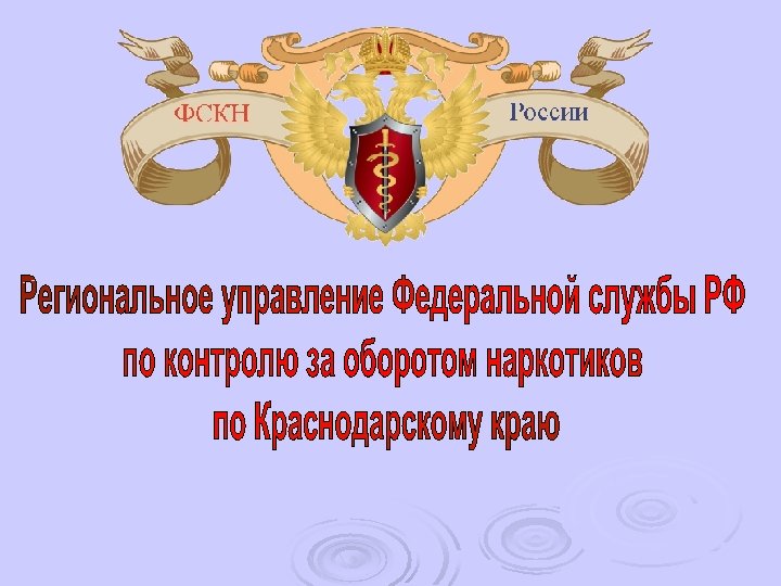 Лекция по теме Органы по контролю за оборотом наркотических средств и психотропных веществ. Таможенные органы РФ