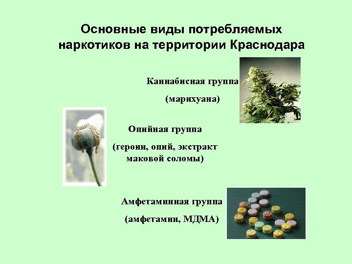 Основные виды потребляемых наркотиков на территории Краснодара Каннабисная группа (марихуана) Опийная группа (героин, опий,