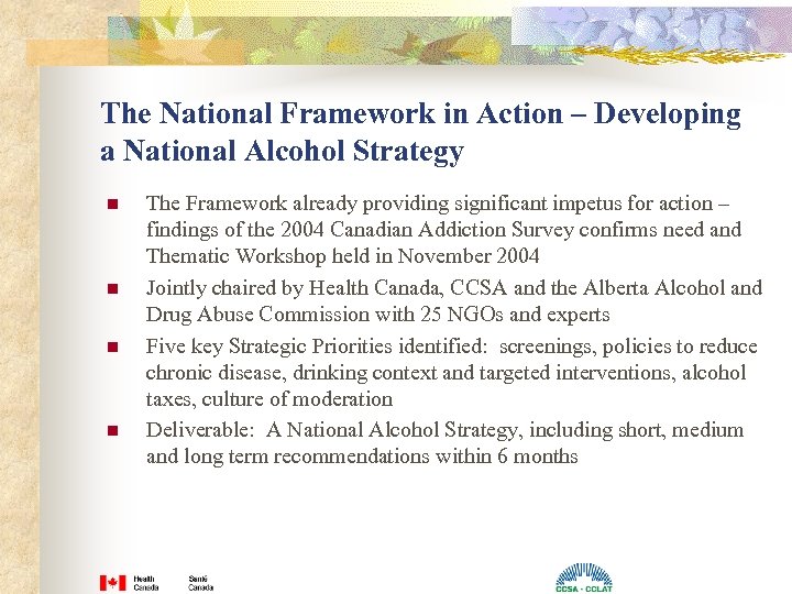 The National Framework in Action – Developing a National Alcohol Strategy n n The