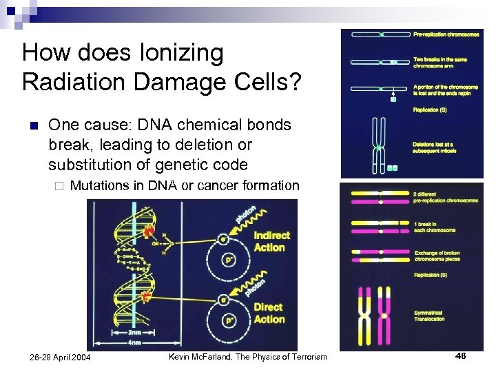 How does Ionizing Radiation Damage Cells? n One cause: DNA chemical bonds break, leading