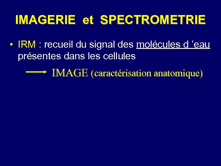 IMAGERIE et SPECTROMETRIE • IRM : recueil du signal des molécules d ’eau présentes