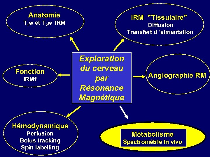  Anatomie IRM 