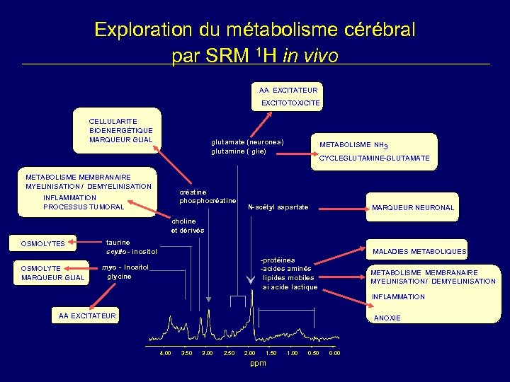 Exploration du métabolisme cérébral par SRM 1 H in vivo AA XCITATEUR E EXCITOTOXICITE