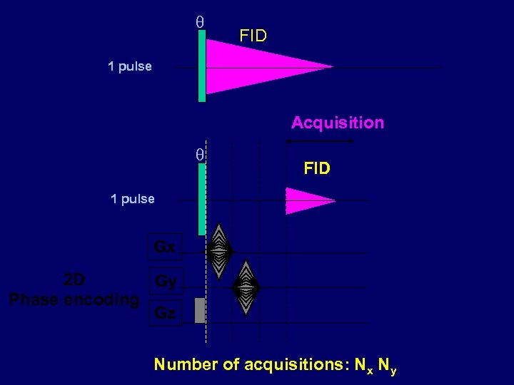  FID 1 pulse Acquisition FID 1 pulse Gx 2 D Gy Phase encoding