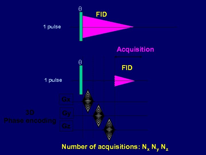  FID 1 pulse Acquisition FID 1 pulse Gx 3 D Gy Phase encoding