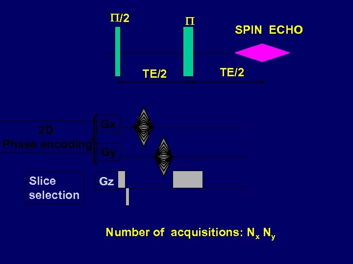 /2 TE/2 2 D Phase encoding Slice selection SPIN ECHO TE/2 Gx Gy