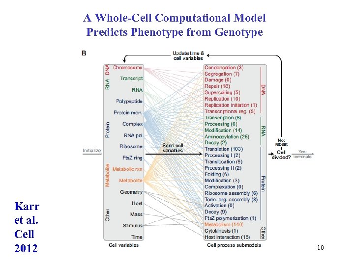 A Whole-Cell Computational Model Predicts Phenotype from Genotype Karr et al. Cell 2012 10