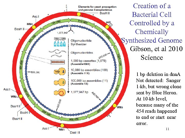 Creation of a Bacterial Cell Controlled by a Chemically Synthesized Genome Gibson, et al