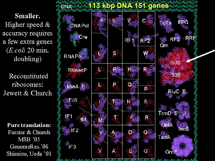 113 kbp DNA 151 genes Smaller. Higher speed & accuracy requires a few extra