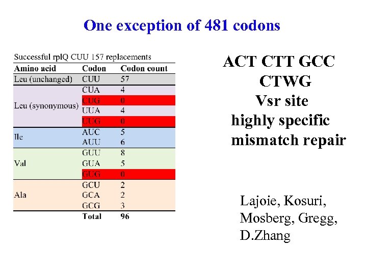 One exception of 481 codons ACT CTT GCC CTWG Vsr site highly specific mismatch