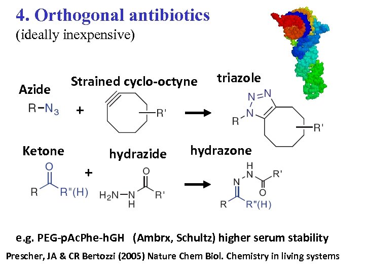 4. Orthogonal antibiotics (ideally inexpensive) Azide Strained cyclo-octyne triazole + Ketone + hydrazide hydrazone