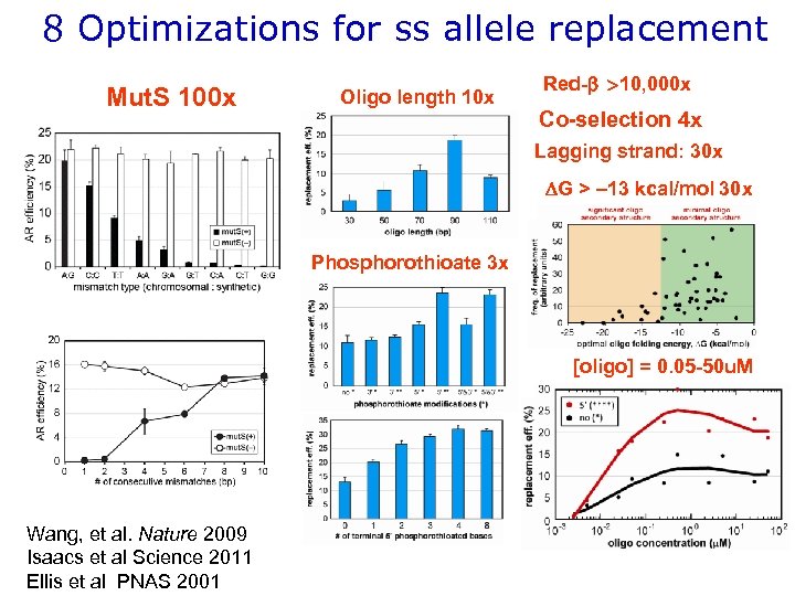 8 Optimizations for ss allele replacement Mut. S 100 x Oligo length 10 x