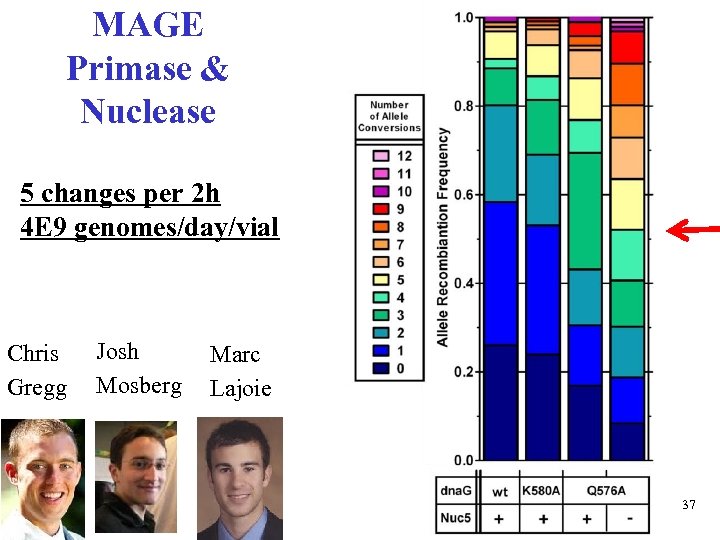 MAGE Primase & Nuclease 5 changes per 2 h 4 E 9 genomes/day/vial Chris