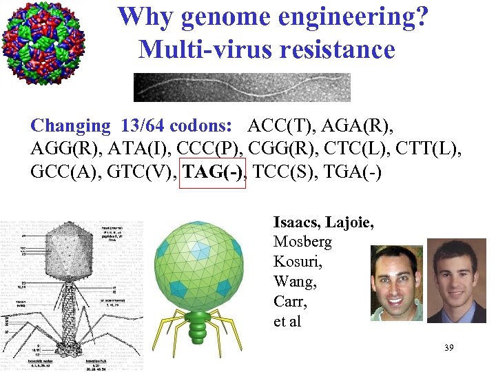 Why genome engineering? Multi-virus resistance Changing 13/64 codons: ACC(T), AGA(R), AGG(R), ATA(I), CCC(P), CGG(R),