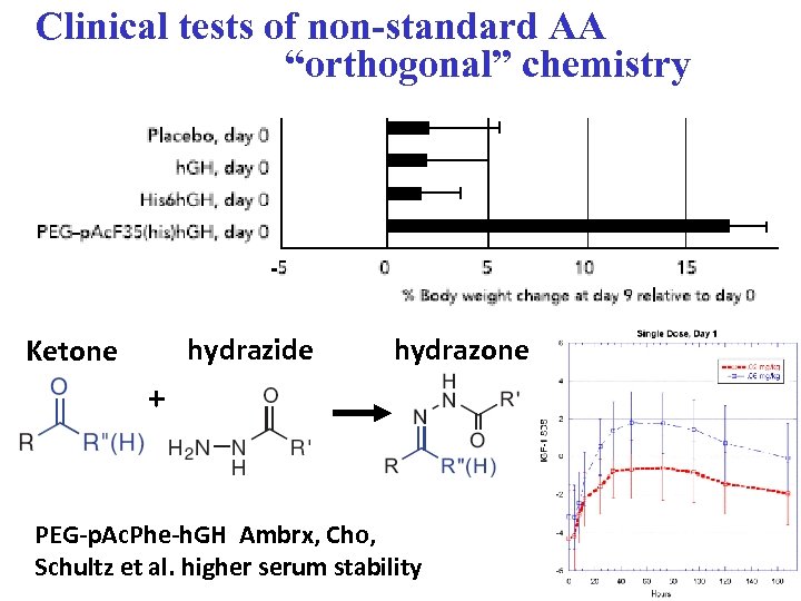 Clinical tests of non-standard AA “orthogonal” chemistry hydrazide Ketone hydrazone + PEG-p. Ac. Phe-h.