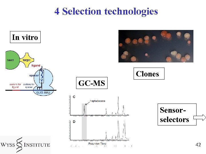 4 Selection technologies In vitro Clones GC-MS Sensorselectors 42 