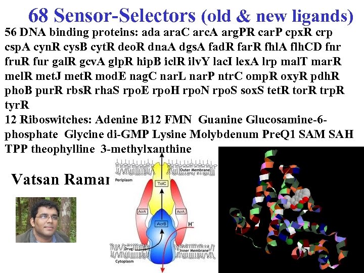 68 Sensor-Selectors (old & new ligands) 56 DNA binding proteins: ada ara. C arc.