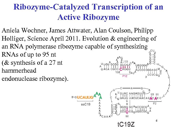 Ribozyme-Catalyzed Transcription of an Active Ribozyme Aniela Wochner, James Attwater, Alan Coulson, Philipp Holliger,