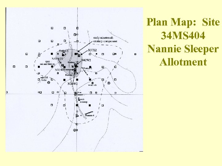 Plan Map: Site 34 MS 404 Nannie Sleeper Allotment 