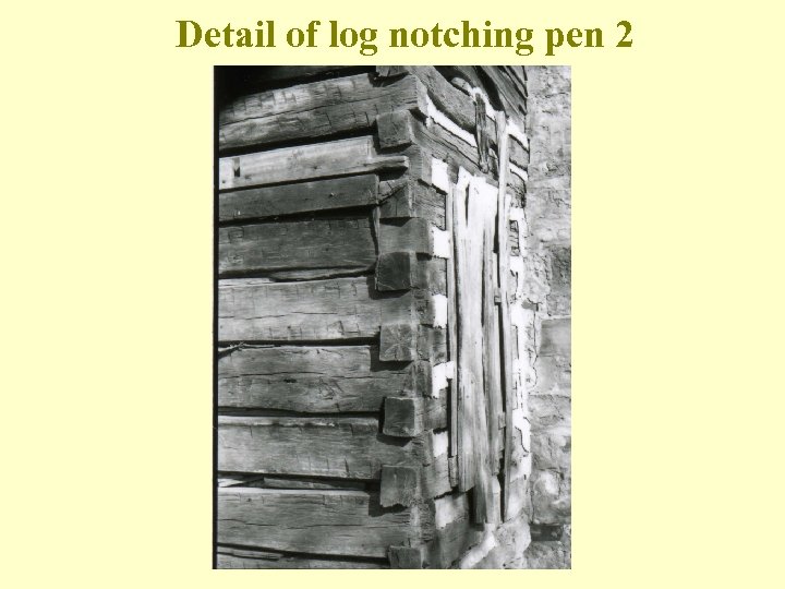 Detail of log notching pen 2 