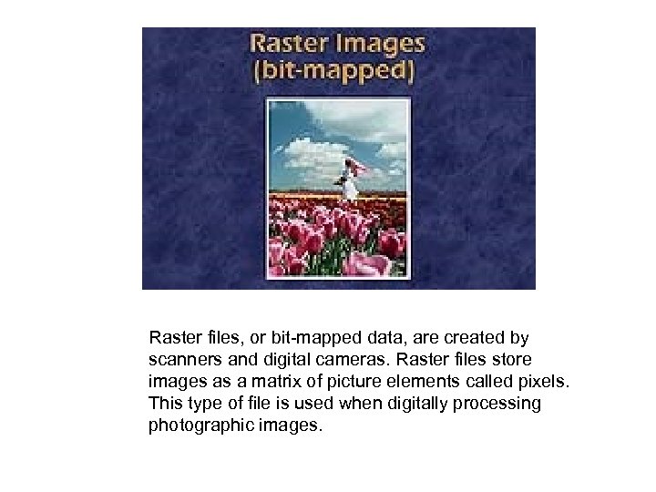  Raster files, or bit-mapped data, are created by scanners and digital cameras. Raster
