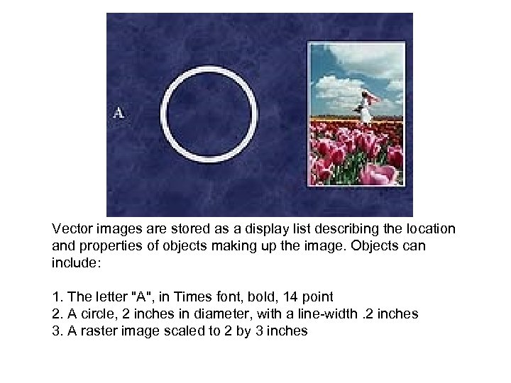  Vector images are stored as a display list describing the location and properties