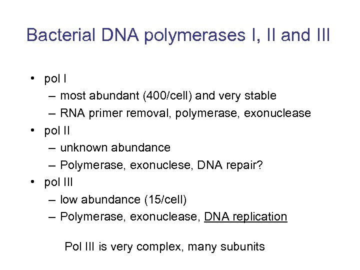 Bacterial DNA polymerases I, II and III • pol I – most abundant (400/cell)