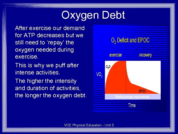 Oxygen Debt After exercise our demand for ATP decreases but we still need to