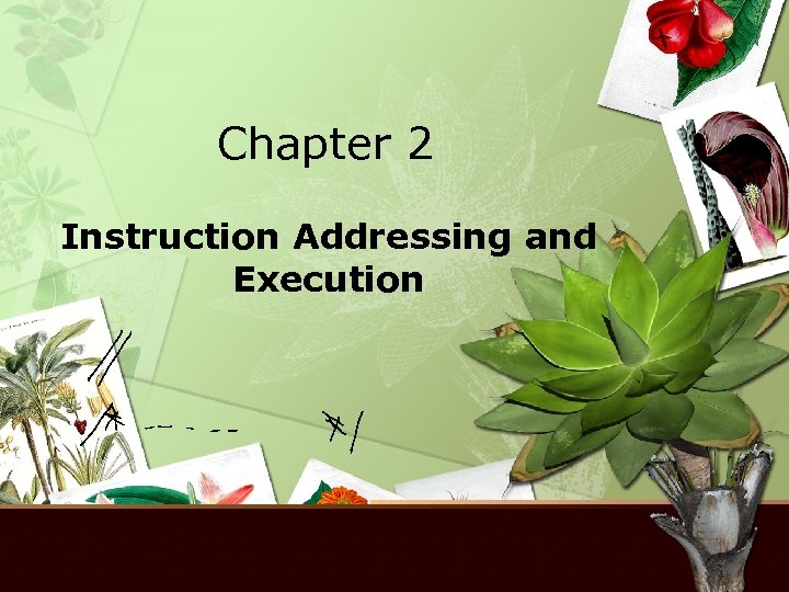 Chapter 2 Instruction Addressing and Execution 