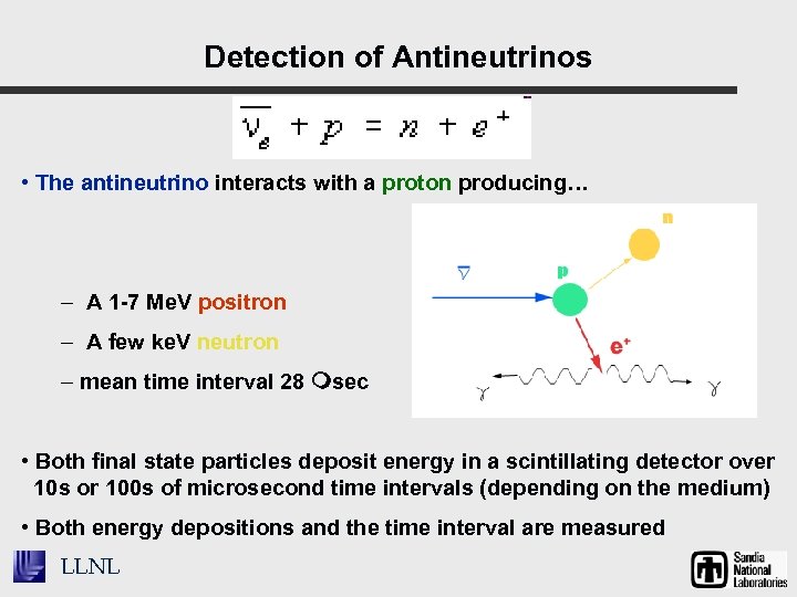 Detection of Antineutrinos • The antineutrino interacts with a proton producing… – A 1