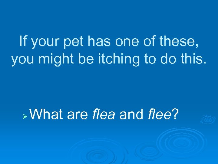 If your pet has one of these, you might be itching to do this.