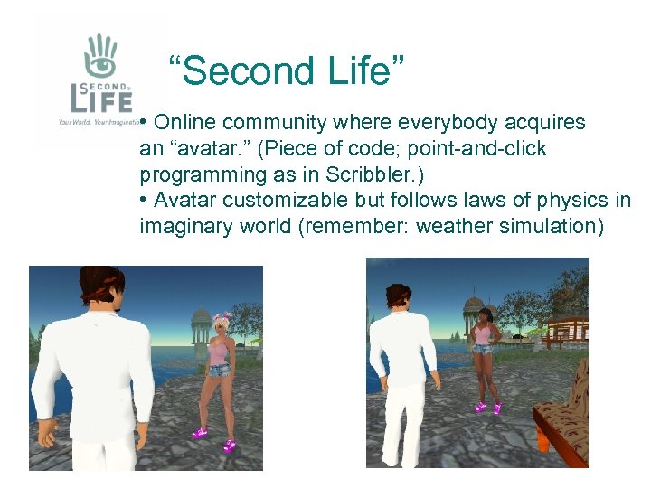 “Second Life” • Online community where everybody acquires an “avatar. ” (Piece of code;