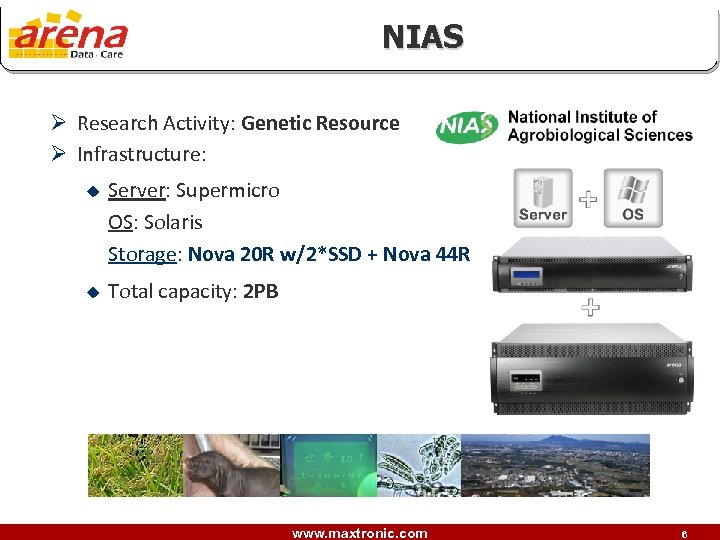 NIAS Ø Research Activity: Genetic Resource Ø Infrastructure: u u Server: Supermicro OS: Solaris