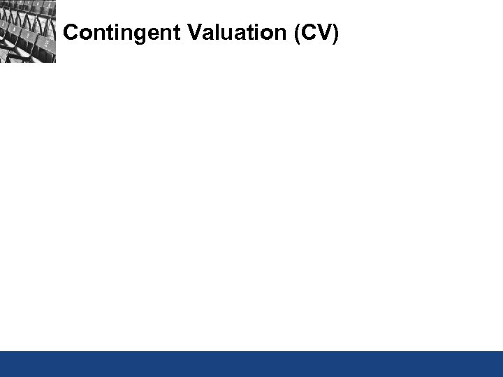Contingent Valuation (CV) 