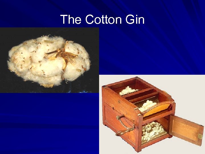 The Cotton Gin 