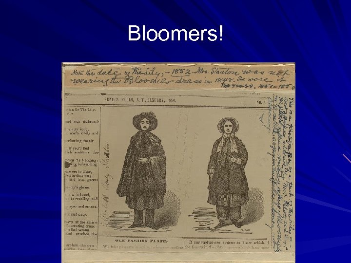 Bloomers! 