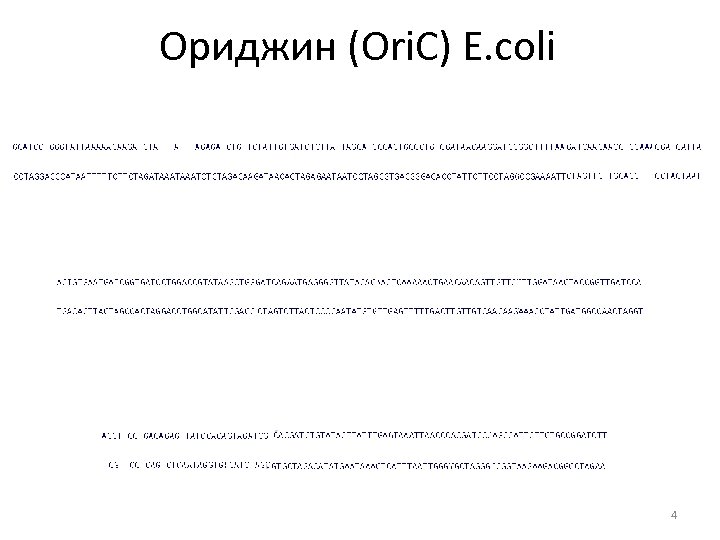 Ориджин (Ori. C) E. coli 4 