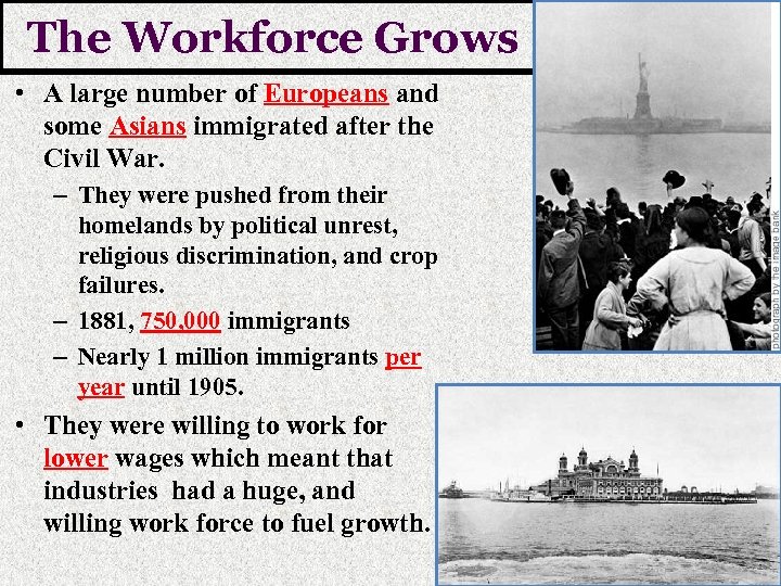 The Workforce Grows • A large number of Europeans and some Asians immigrated after