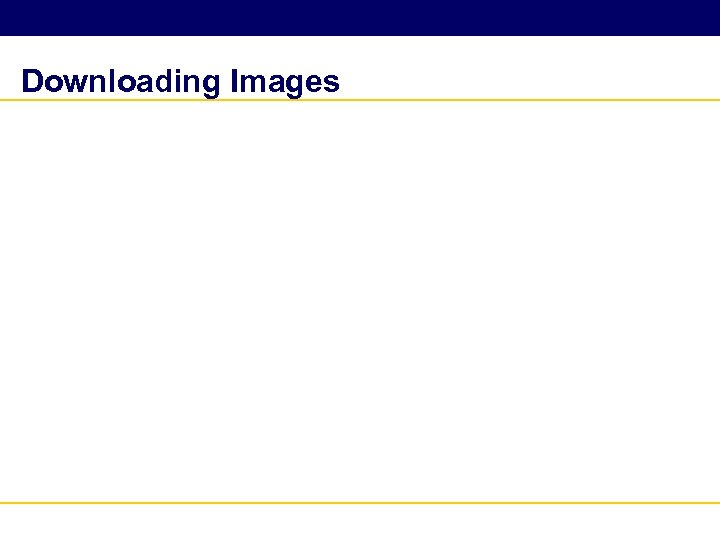 Downloading Images 
