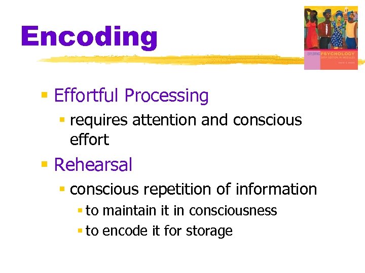 Encoding § Effortful Processing § requires attention and conscious effort § Rehearsal § conscious